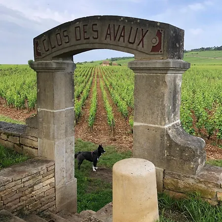 La Route Des Vins Appartamento Beaune (Cote d'Or)