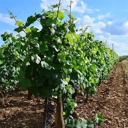 شقة La Route Des Vins