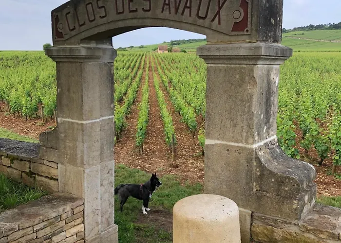 La Route Des Vins Apartment Beaune (Cote d'Or)